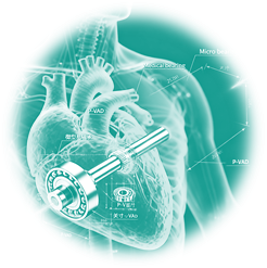 from clipboard from clipboard